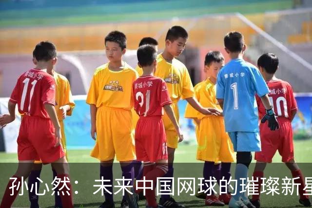 孙心然：未来中国网球的璀璨新星